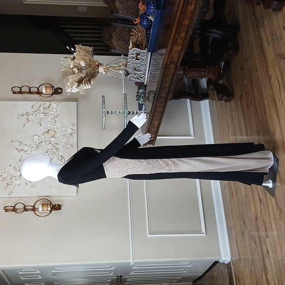 New Xscape Women's V-Neck Embellished Contrast-Inset Gown. Size 6 - Picture 11 of 17